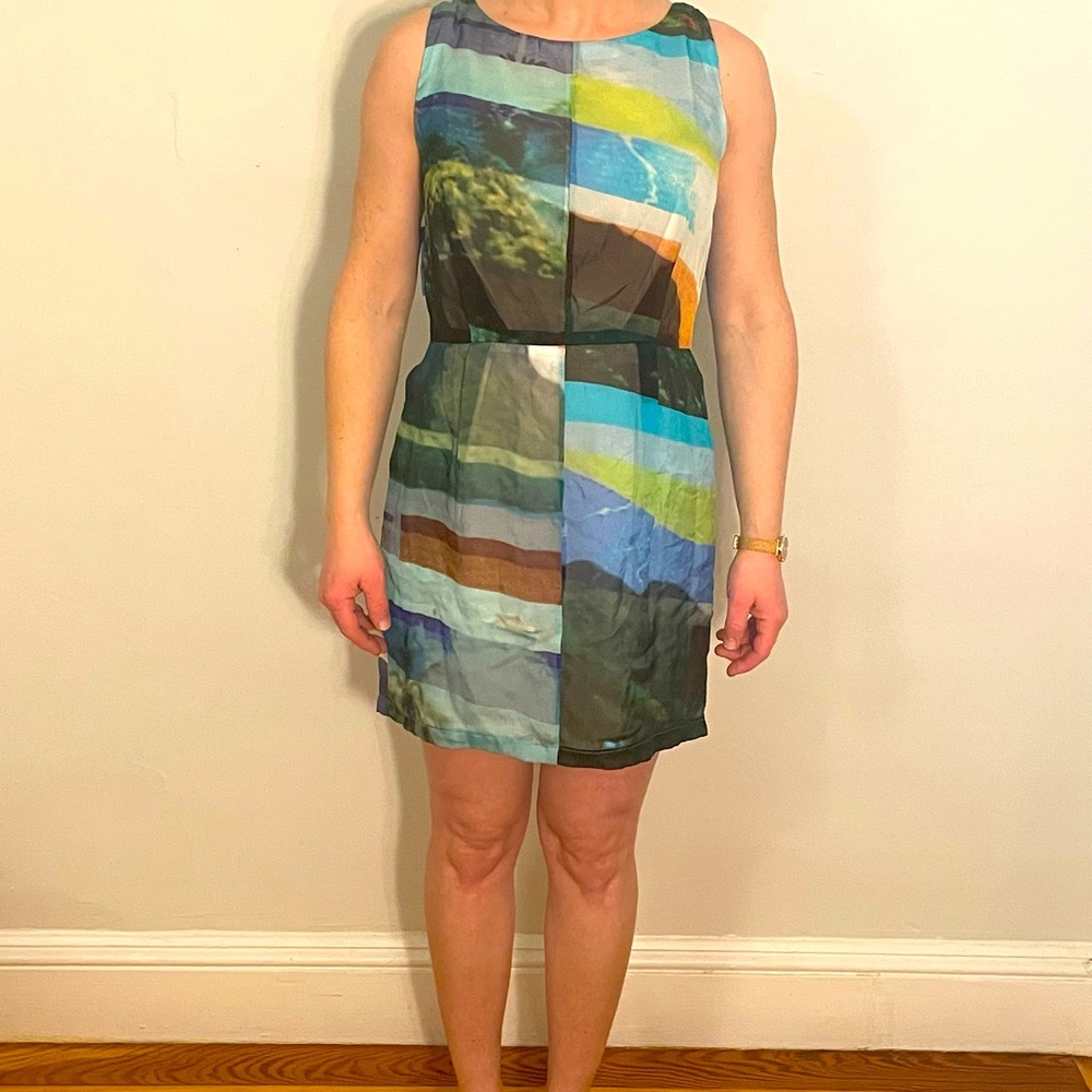 Rag and Bone Chiffon and Silk dress.